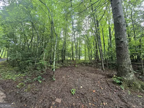 395 Payne Rd, Mc Caysville, GA 30555
