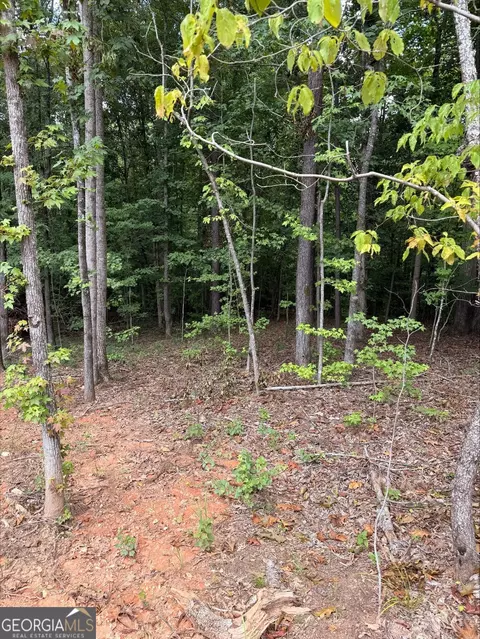 1270 Cunningham Rd, Greensboro, GA 30642