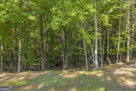 0 Calhoun Rd, Dahlonega, GA 30533 photo 6