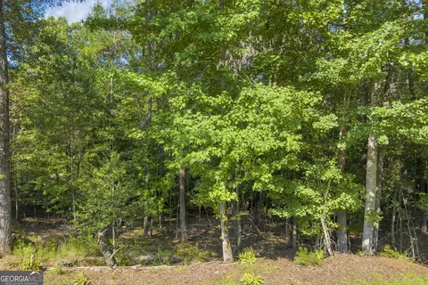 0 Calhoun Rd, Dahlonega, GA 30533 photo 7