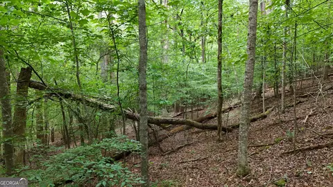 lot16 Morris Trl, Cleveland, GA 30528
