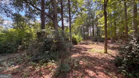 Other - 115 Emerald Ln, Hampton, GA 30228 photo 11 of 11