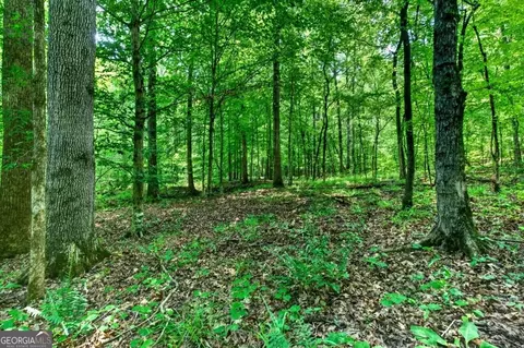 0 Highway 42, Forsyth, GA 31029 photo 7