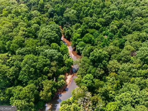 0 Highway 42, Forsyth, GA 31029 photo 3