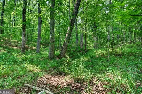 0 Highway 42, Forsyth, GA 31029 photo 16