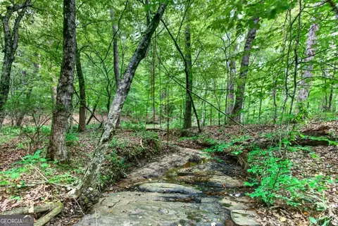 0 Highway 42, Forsyth, GA 31029 photo 6