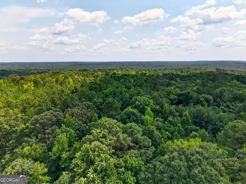 0 Highway 42, Forsyth, GA 31029 photo 11