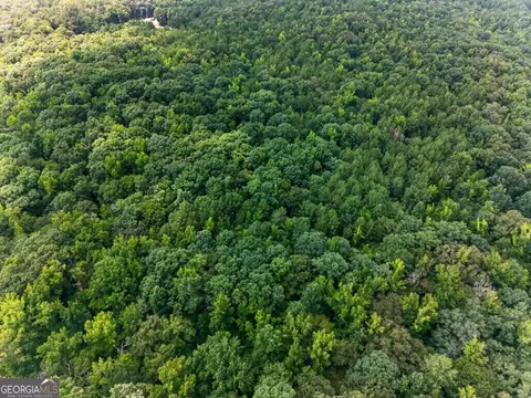 0 Highway 42, Forsyth, GA 31029 photo 13