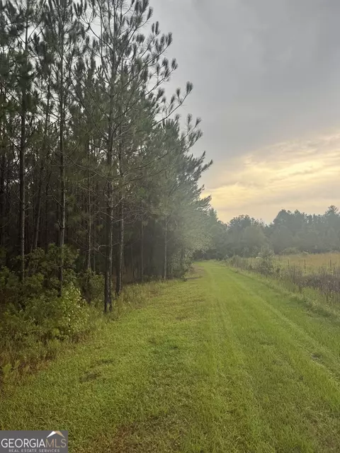 1351 Rogers Rd, Glennville, GA 30427
