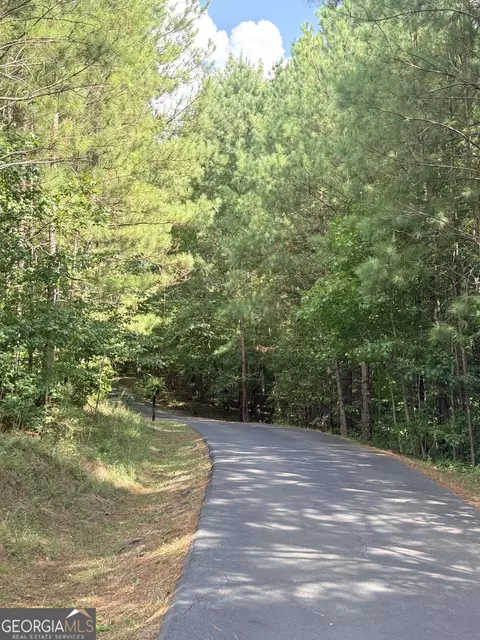 7 725 Ac Slalom Pass, Forsyth, GA 31029 photo 12
