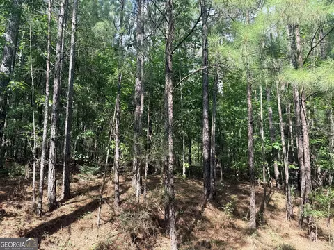 7 725 Ac Slalom Pass, Forsyth, GA 31029 photo 9