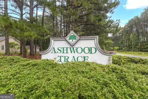 Other - 112 Ashwood Trce, Hampton, GA 30228 photo 3 of 14