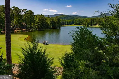 View/Area - 40 Treetopper Ln, Jasper, GA 30143 photo 17 of 23