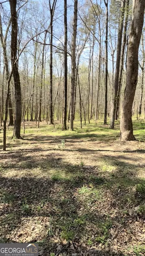 0 Ike Stone, Monroe, GA 30656 photo 2