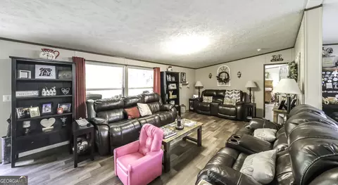 Living - 4885 Jacksonville Rd, Buchanan, GA 30113 photo 1 of 1