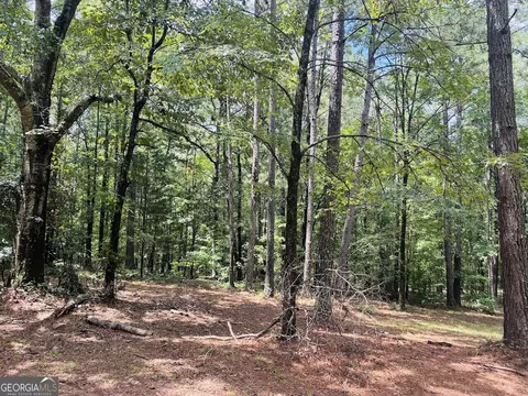 3889 Greenville Rd, Lagrange, GA 30241 photo 42