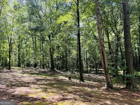 3889 Greenville Rd, Lagrange, GA 30241 photo 32