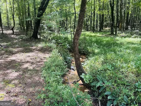3889 Greenville Rd, Lagrange, GA 30241 photo 36