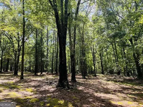3889 Greenville Rd, Lagrange, GA 30241 photo 31