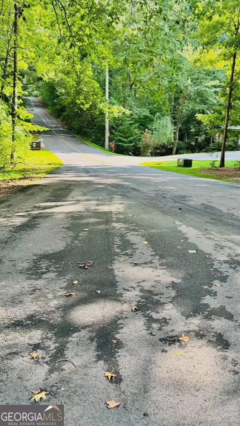 2521 N Carroll Ct, Villa Rica, GA 30180
