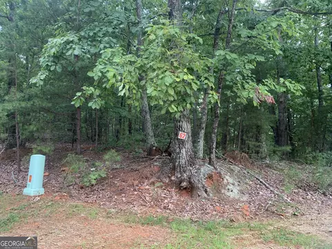 0 Grant Smith Summit Ridge Etc, Toccoa, GA 30577 photo 10