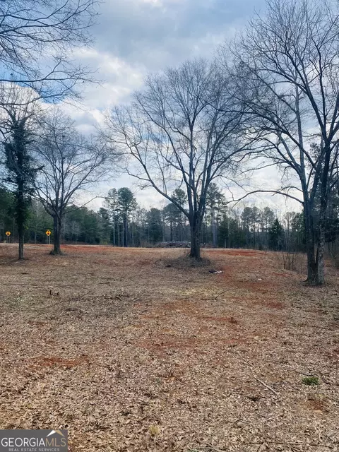 95 Knight Trl, Thomaston, GA 30286 photo 11