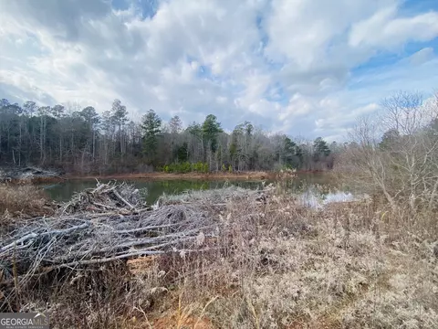 95 Knight Trl, Thomaston, GA 30286 photo 6