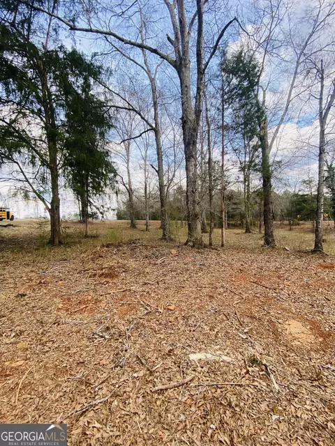 95 Knight Trl, Thomaston, GA 30286 photo 10