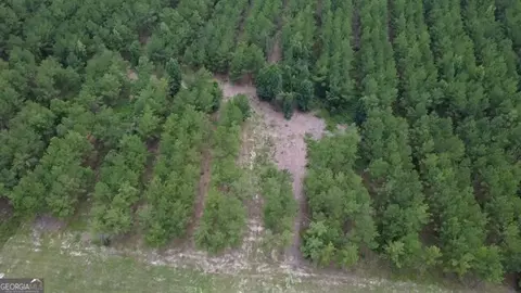 0 Dewey Thomas Rd, Dexter, GA 31019 photo 5