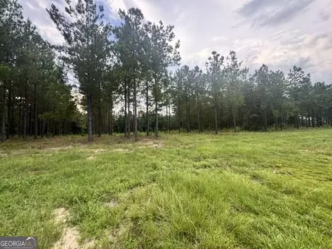 0 Dewey Thomas Rd, Dexter, GA 31019 photo 3