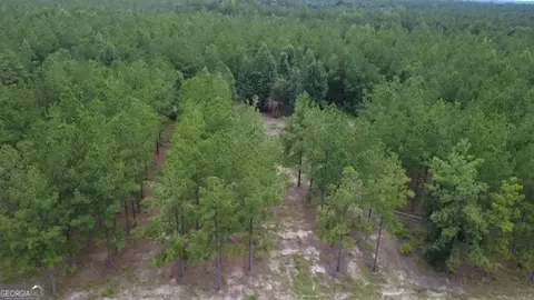 0 Dewey Thomas Rd, Dexter, GA 31019 photo 7