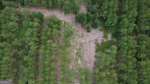 0 Dewey Thomas Rd, Dexter, GA 31019 photo 6