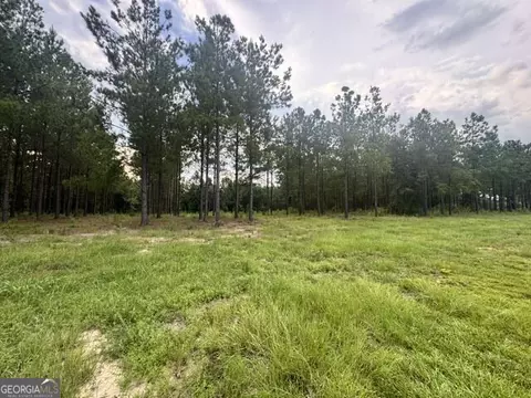 0 Dewey Thomas Rd, Dexter, GA 31019 photo 2