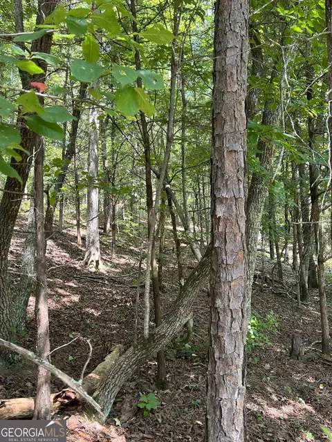 0 Davidson Rd, West Point, GA 31833 photo 6
