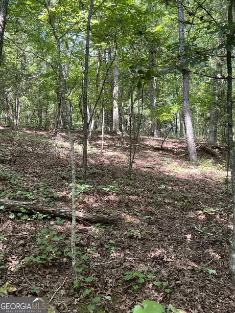 0 Davidson Rd, West Point, GA 31833 photo 10