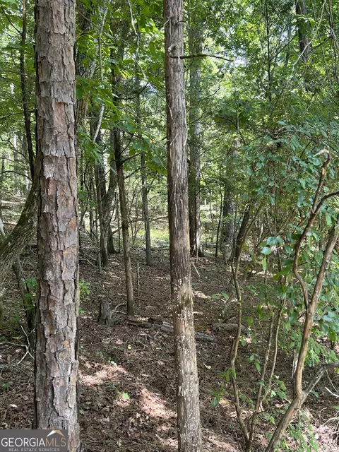 0 Davidson Rd, West Point, GA 31833 photo 7