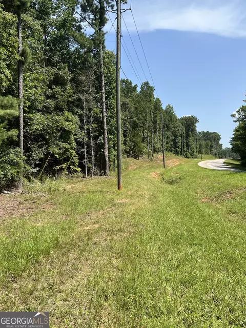 0 Davidson Rd, West Point, GA 31833 photo 3