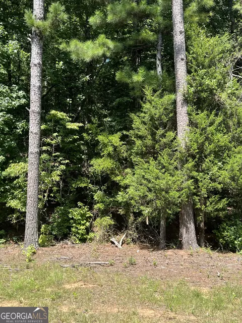 0 Davidson Rd, West Point, GA 31833 photo 5