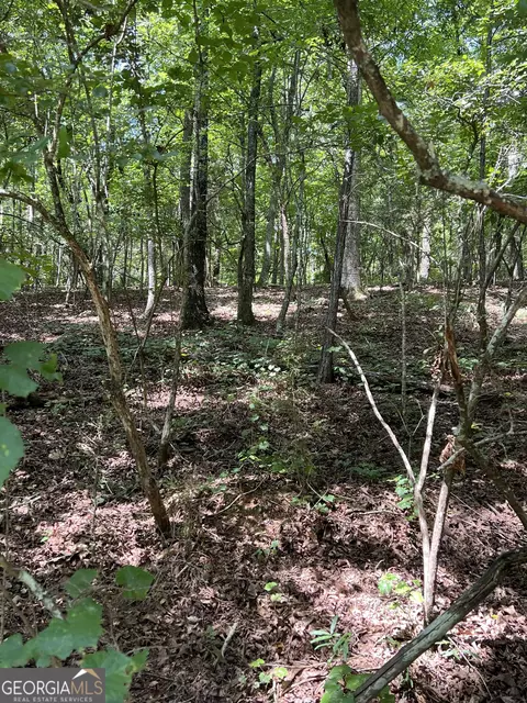 0 Davidson Rd, West Point, GA 31833 photo 9