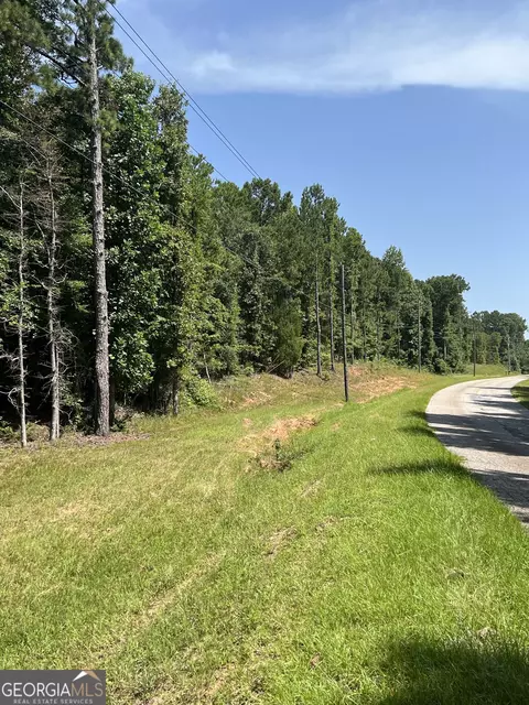 0 Davidson Rd, West Point, GA 31833 photo 4
