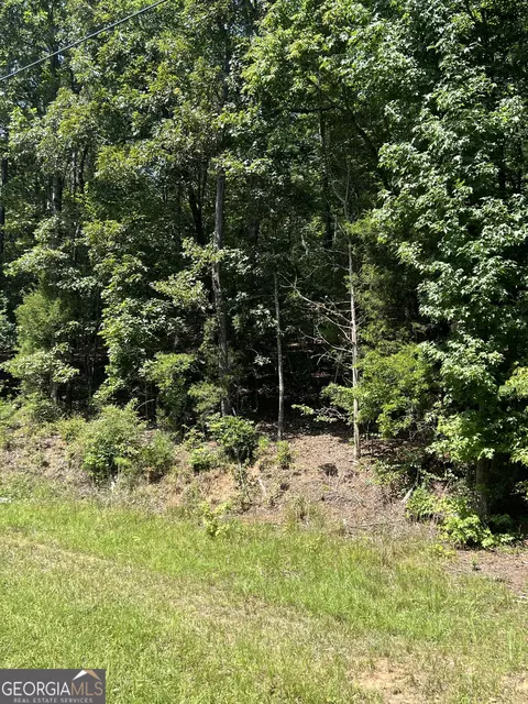 0 Davidson Rd, West Point, GA 31833 photo 2