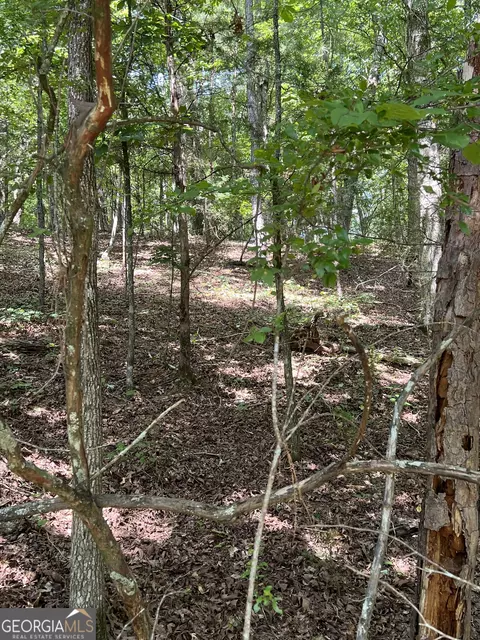 0 Davidson Rd, West Point, GA 31833 photo 8