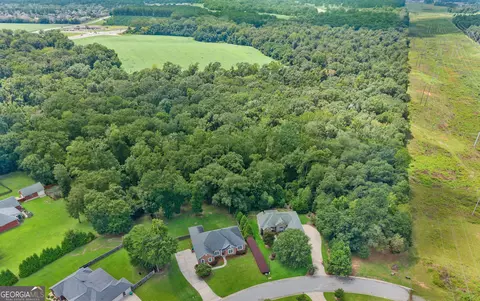 View/Area - 3003 Hackberry Ter, Bonaire, GA 31005 photo 3 of 3