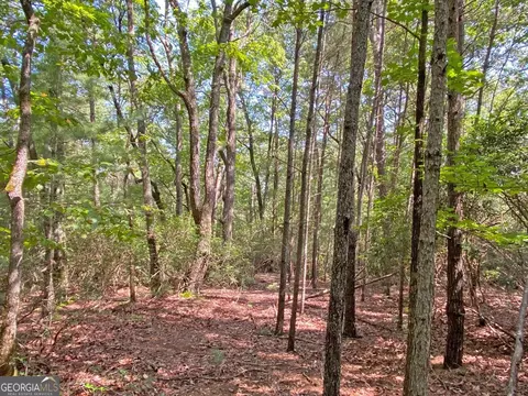 10 59ac T S Jarrard Rd, Dahlonega, GA 30533