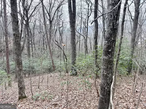 0 Monarch Ln, Clayton, GA 30525
