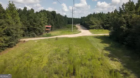 0 Buck Creek Byp, Oglethorpe, GA 31068 photo 20
