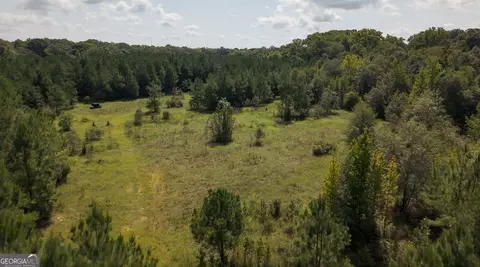 0 Buck Creek Byp, Oglethorpe, GA 31068 photo 18