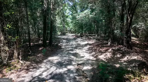 0 Buck Creek Byp, Oglethorpe, GA 31068 photo 25