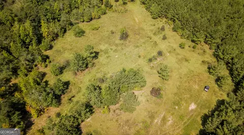0 Buck Creek Byp, Oglethorpe, GA 31068 photo 17