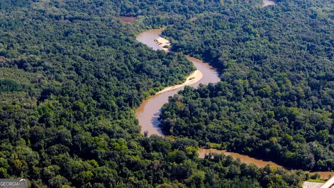 0 Buck Creek Byp, Oglethorpe, GA 31068 photo 4